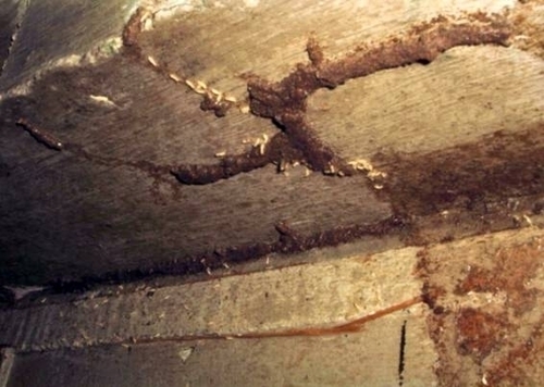 コンクリート造りでの被害