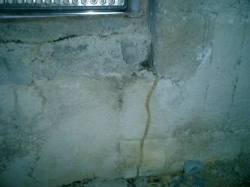 基礎に延びる蟻道