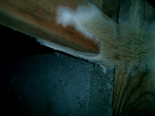 大引・柱のカビ　アップ写真