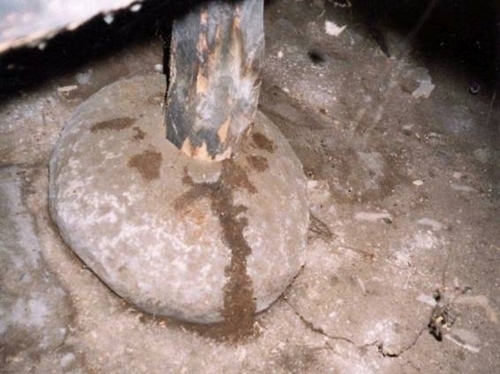 束石に上がる蟻道 